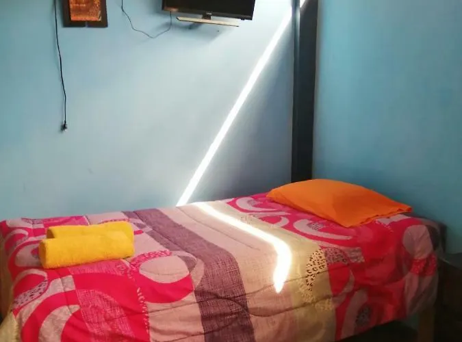 Sami House